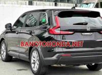 Bán xe Honda CRV L đời 2024 - Giá tốt