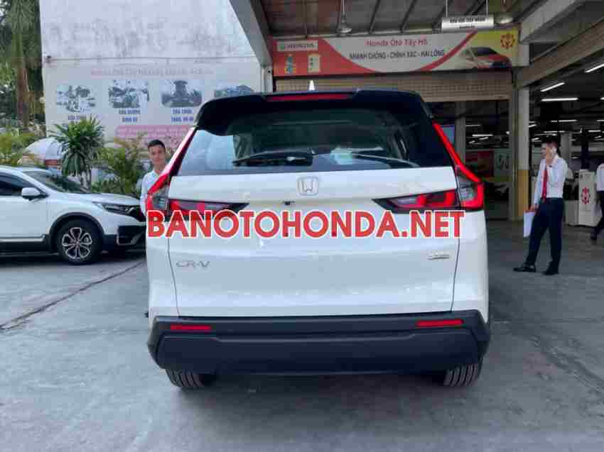 Xe Honda CRV L tiêu chuẩn - Trắng - 2026