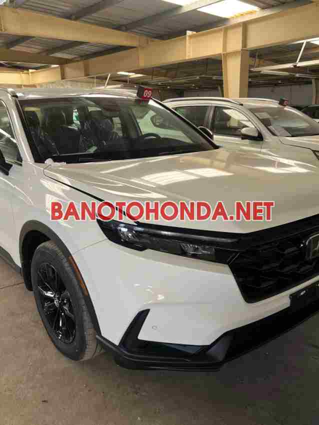 Honda CRV 2026 Số tự động Lắp ráp trong nước cực đẹp