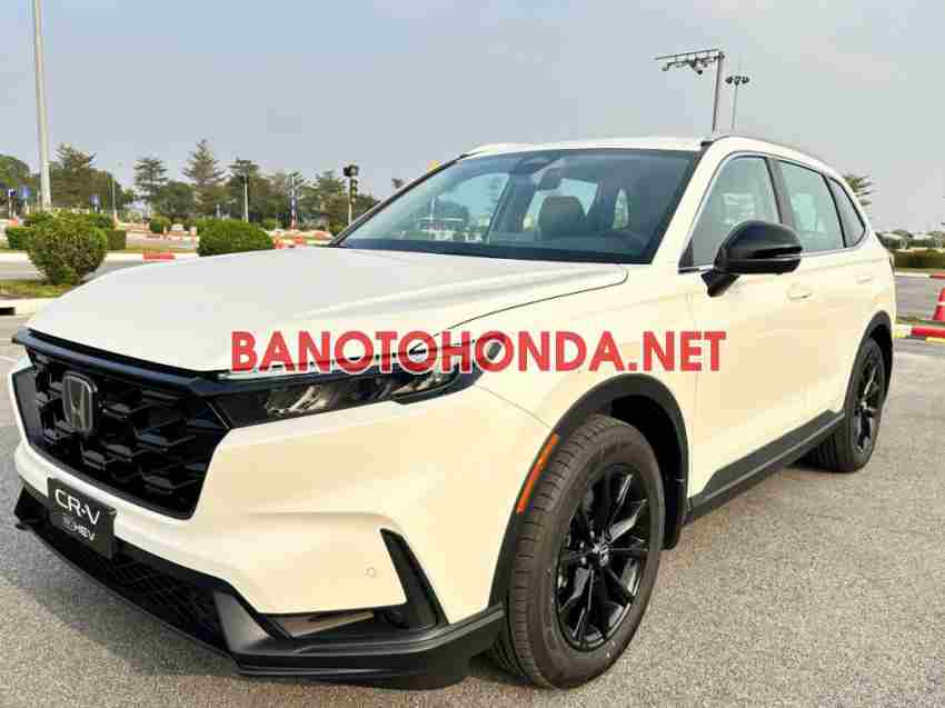 Honda CRV e:HEV L 2026 - Đẹp lung linh