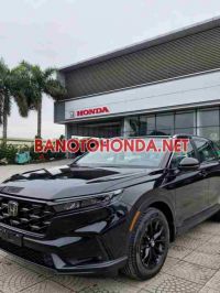 Honda CRV e:HEV L 2026 Số tự động XE CỰC MỚI